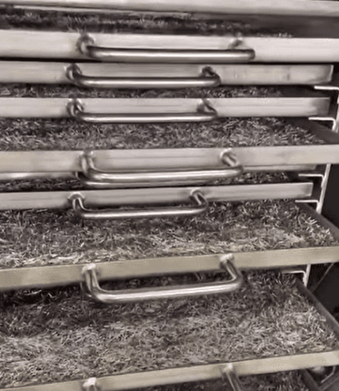 Heat treatment of 316L stainless steel